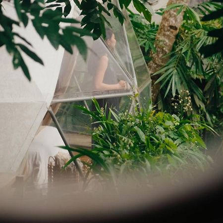 בניוואנגי Lintang Luku Tent Resort Ijen, Banyuwangi מראה חיצוני תמונה