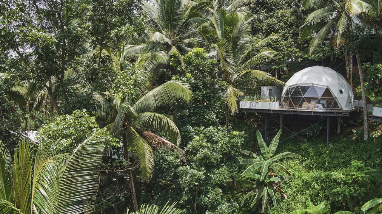 בניוואנגי Lintang Luku Tent Resort Ijen, Banyuwangi מראה חיצוני תמונה