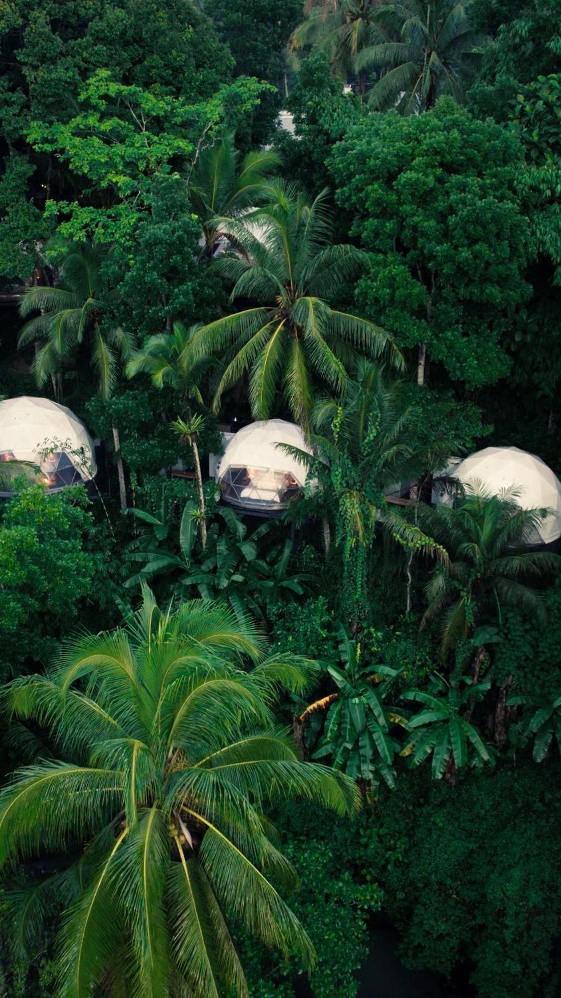 בניוואנגי Lintang Luku Tent Resort Ijen, Banyuwangi מראה חיצוני תמונה